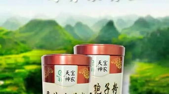 葉素牌靈芝飲 天然滋養(yǎng)，開啟現(xiàn)代養(yǎng)生保健新體驗(yàn)