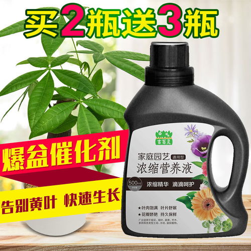 營養(yǎng)液、花肥料與生物有機(jī)肥 盆栽綠蘿養(yǎng)護(hù)與未來肥料研發(fā)趨勢(shì)